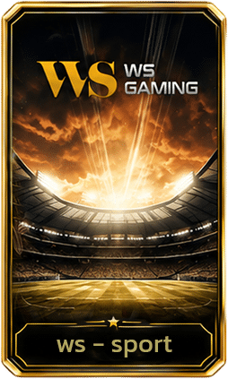 WS GAMING